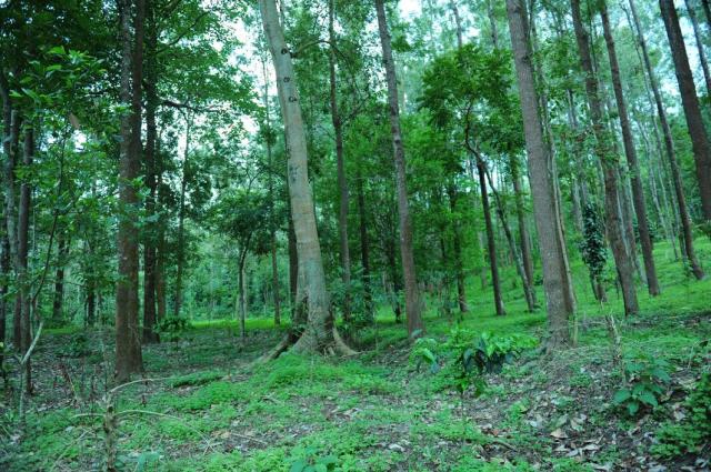 Cluster Homestay photo 16
