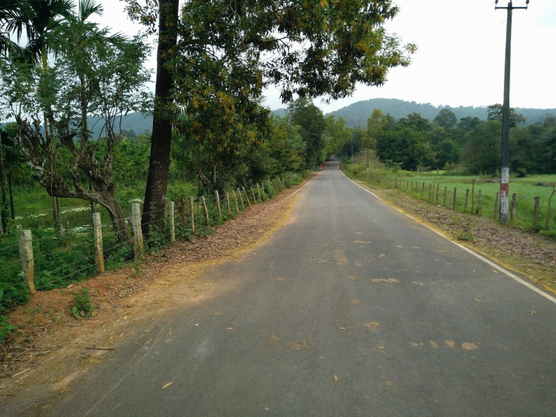 Benakanur Estate Homestay photo 7