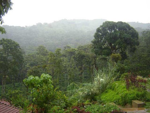 Honey Valley Homestay photo 9