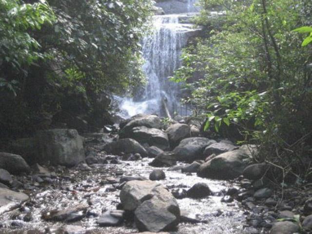 Honey Valley Homestay photo 10