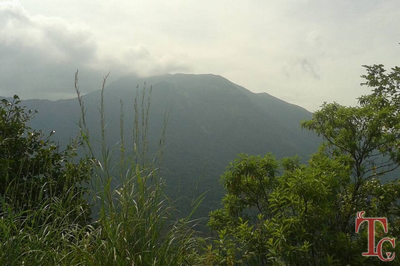 Jagates Mist photo 13