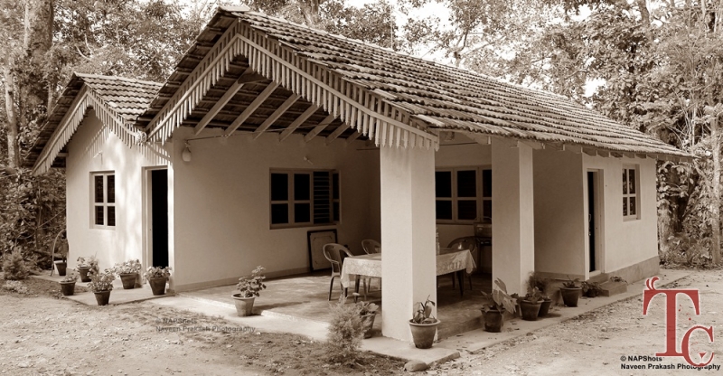 Forest Homestay photo 2