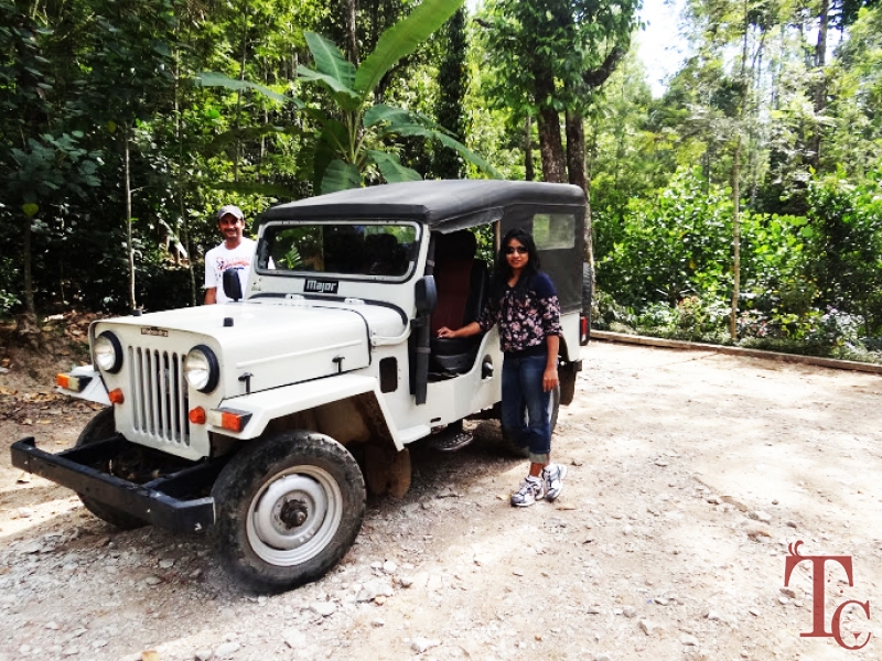 Forest Homestay photo 19