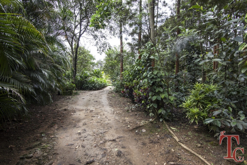 Madhugiri Homestay photo 21