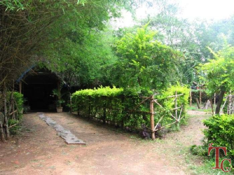 Jungle Inn Resort photo 2