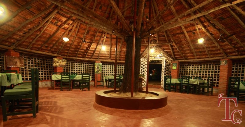 Jungle Inn Resort photo 5