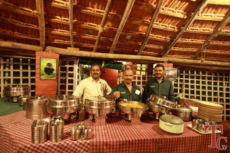 Jungle Inn Resort photo 6