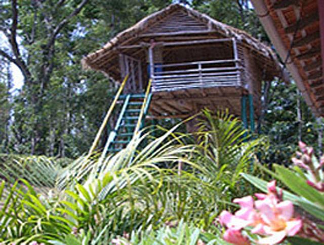 P N Heritage Homestay photo 8