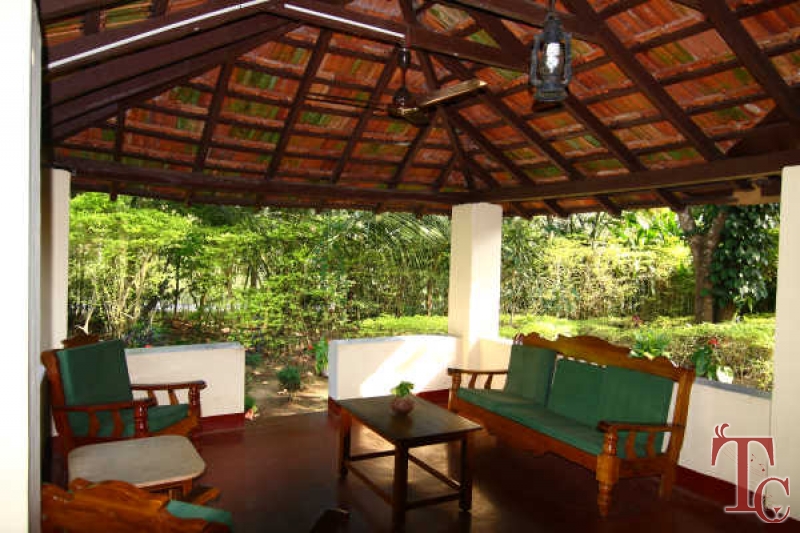 Jungle Inn Resort photo 7