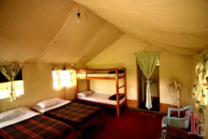 Jungle Inn Resort photo 8