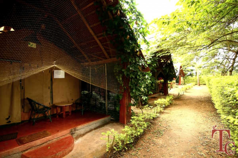 Jungle Inn Resort photo 9