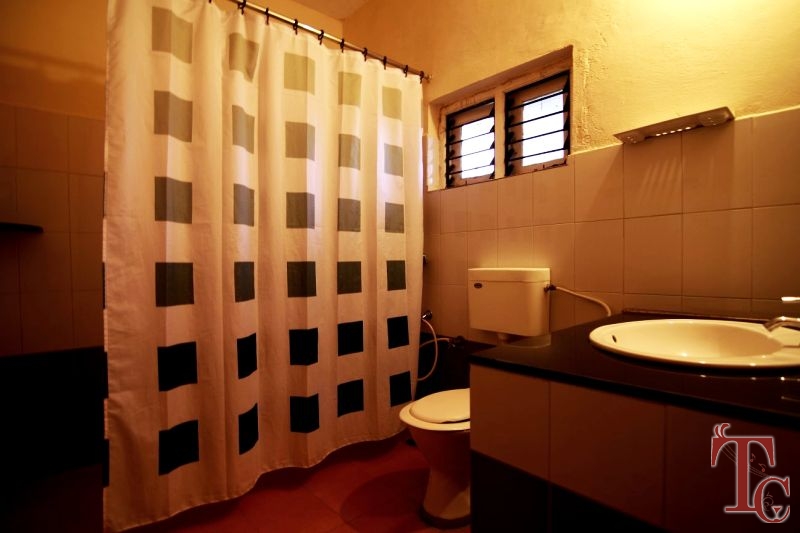 Jungle Inn Resort photo 10