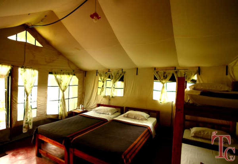 Jungle Inn Resort photo 11