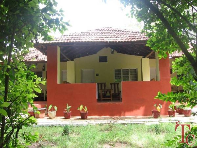 Jungle Inn Resort photo 15