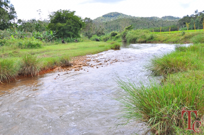 Butterstone River Valley photo 6