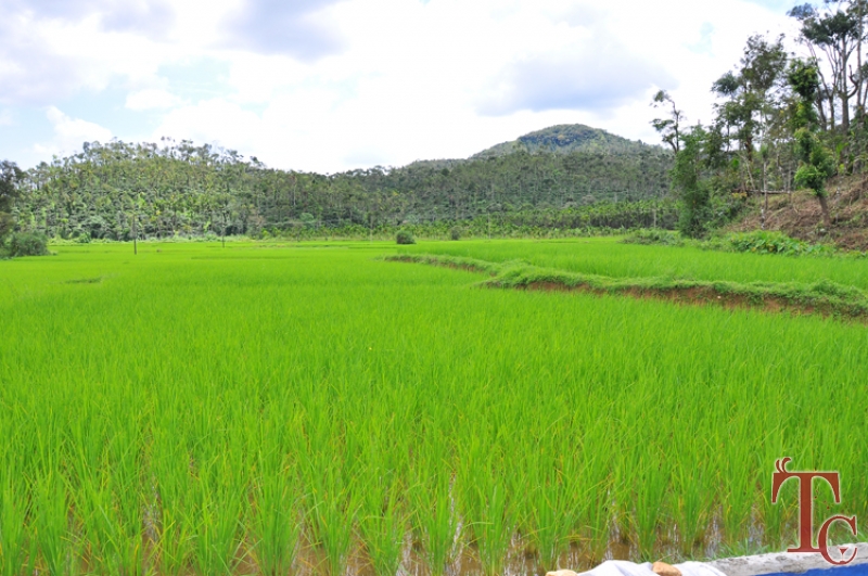 Butterstone River Valley photo 18