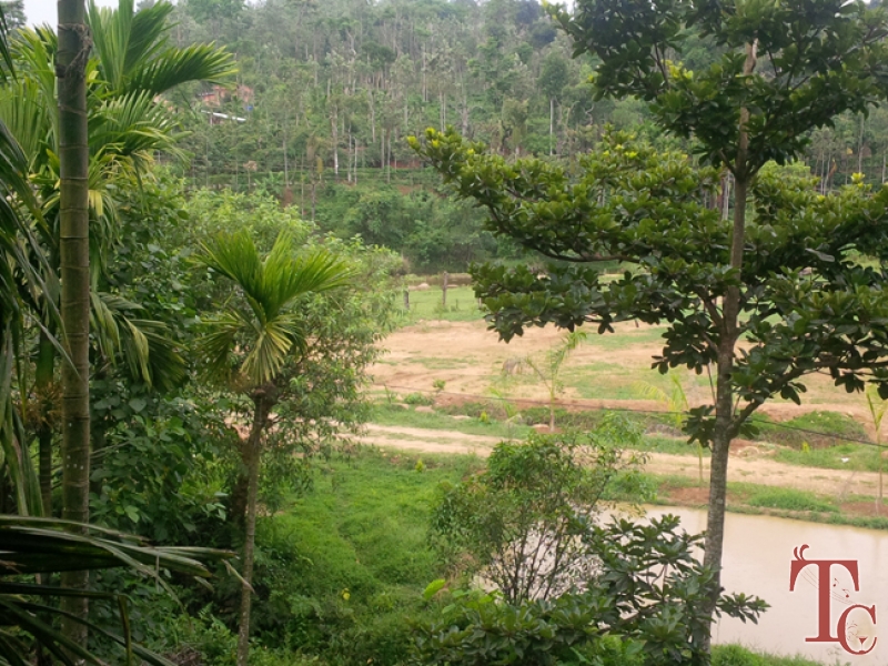 Butterstone River Valley photo 25