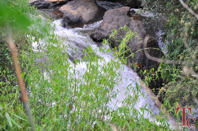 Butterstone River Valley photo 26