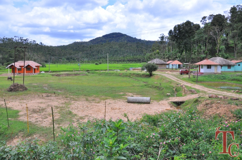 Butterstone River Valley photo 31