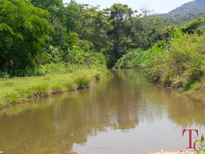 Butterstone River Valley photo 33