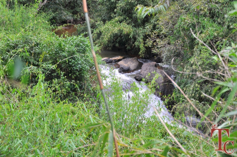 Butterstone River Valley photo 36