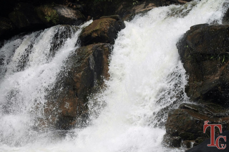 Pashchim Ghat Stay photo 29