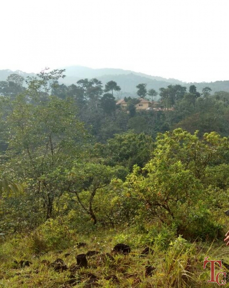 Pashchim Ghat Stay photo 41