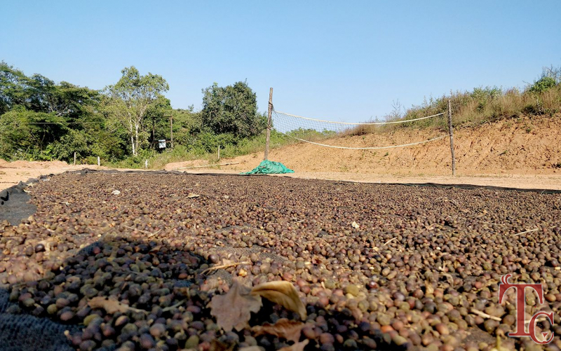 Pashchim Ghat Stay photo 45