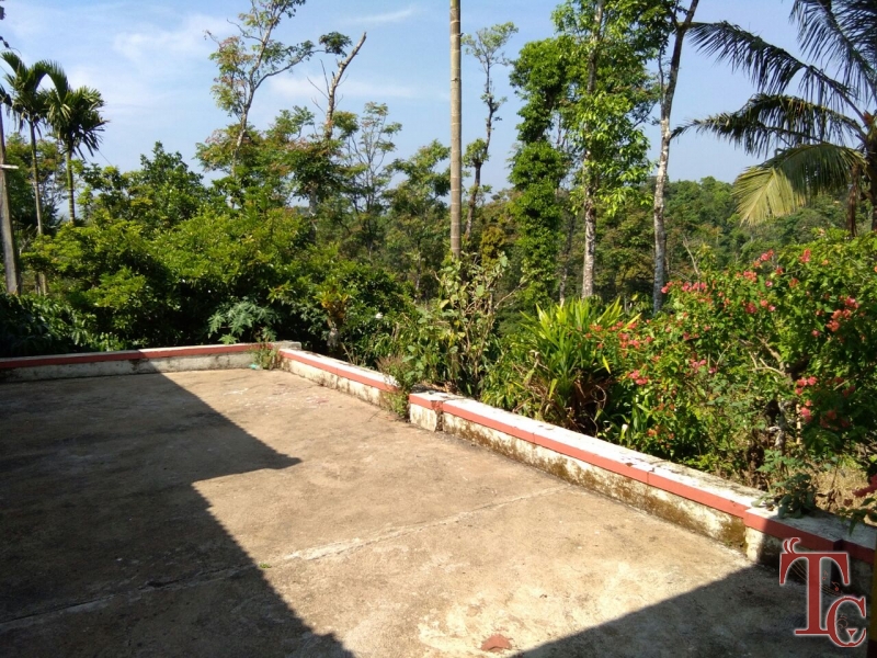 Matteduduve Estate Stay photo 4