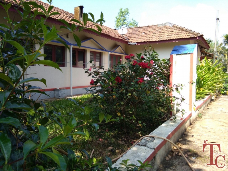 Matteduduve Estate Stay photo 16
