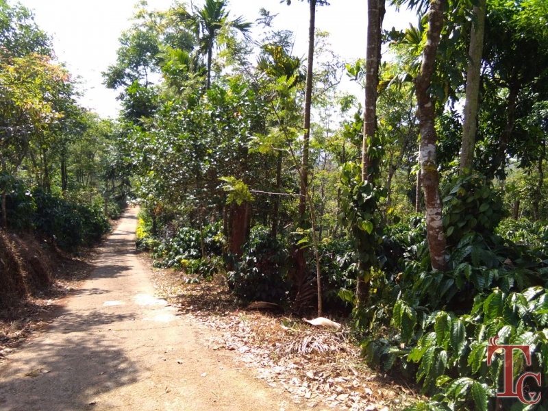 Matteduduve Estate Stay photo 18