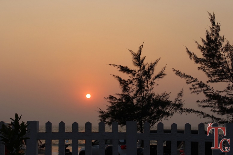 Coqueiros Beach Cottages photo 7
