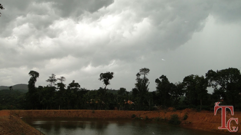 Milky Mist Homestay photo 4