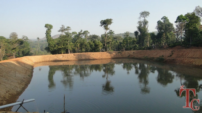 Milky Mist Homestay photo 9