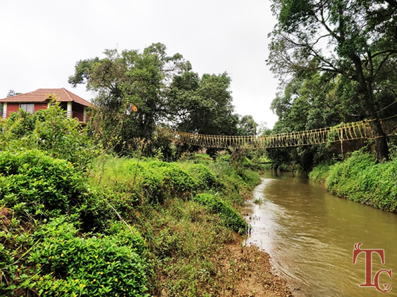Stream Edge Stay photo 9