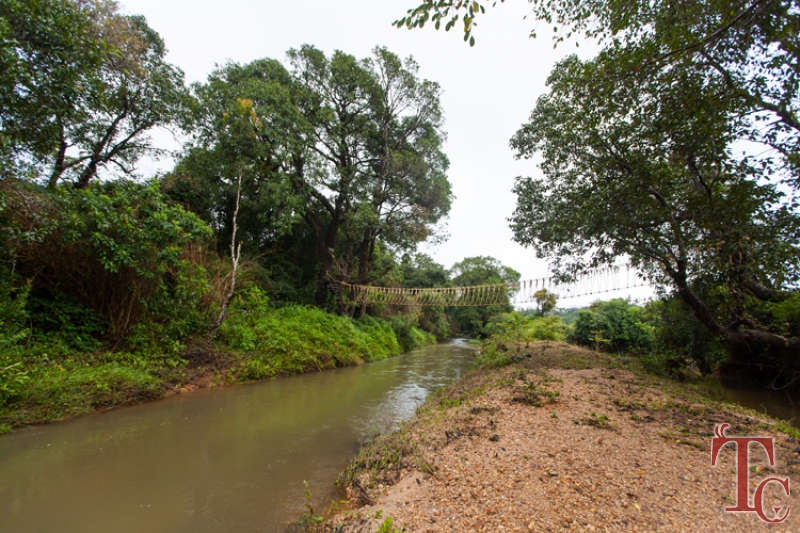 Stream Edge Stay photo 16