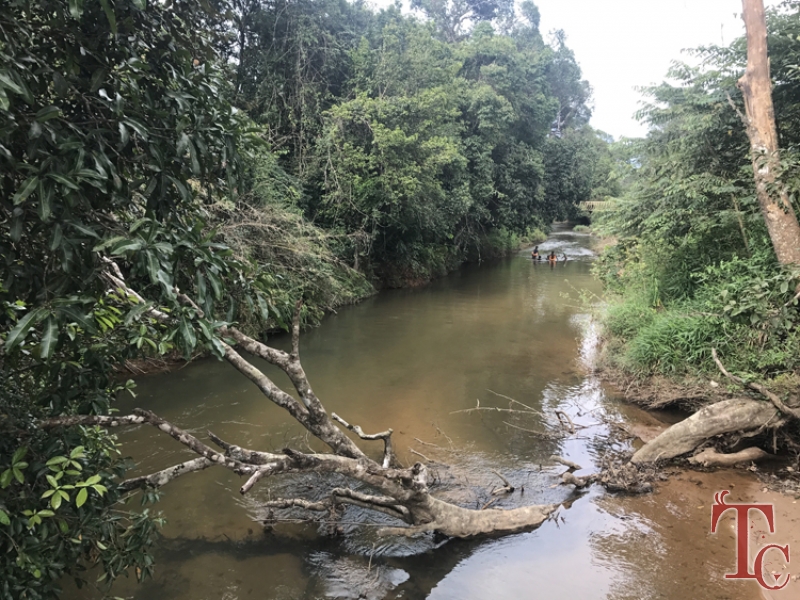 Stream Edge Stay photo 18