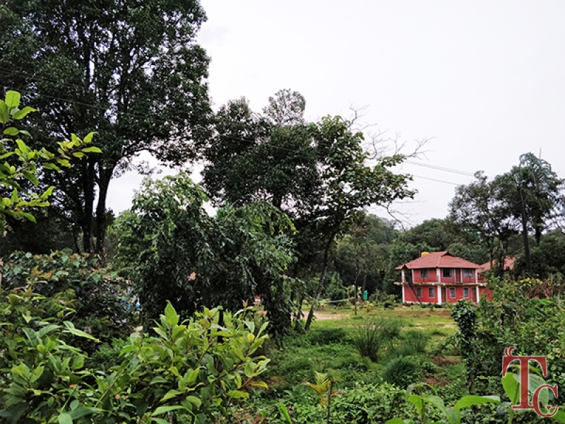 Stream Edge Stay photo 27