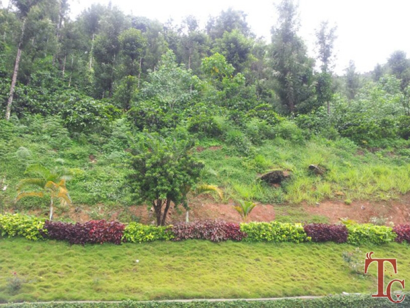 Bombrukallu Home Stay photo 11