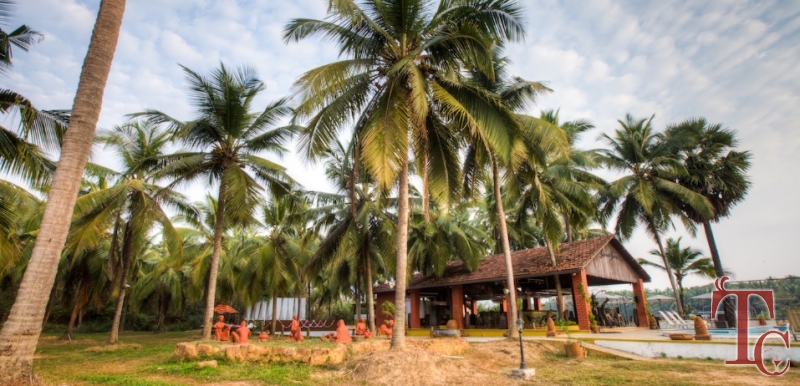 River Roost Resort photo 14