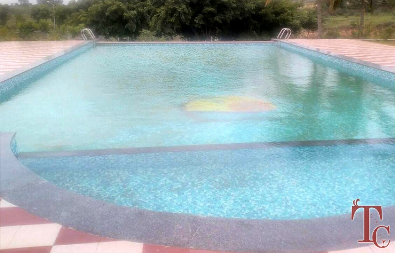 Pavanaputra Resort photo 3