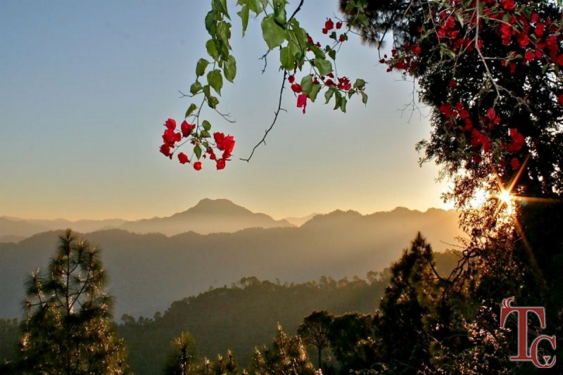 Karadikallu Homestay photo 8