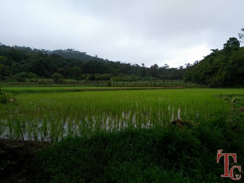 Karadikallu Homestay photo 11
