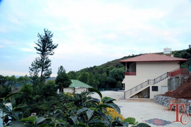 Great Escafe Homestay photo 10