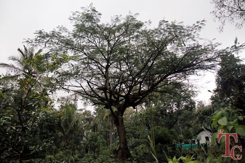 Sai Home Stay photo 22
