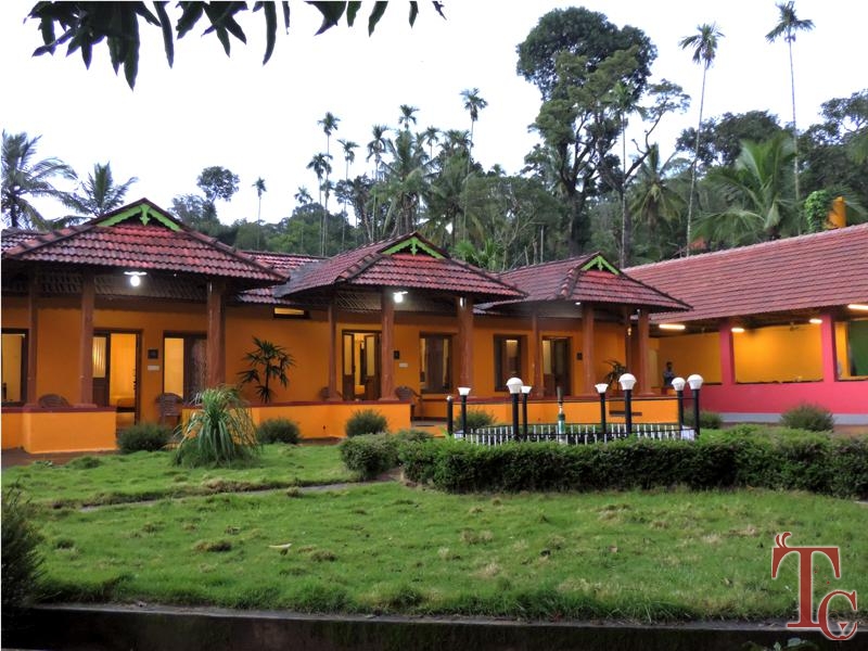 Sherlock Jungle Retreat photo 9