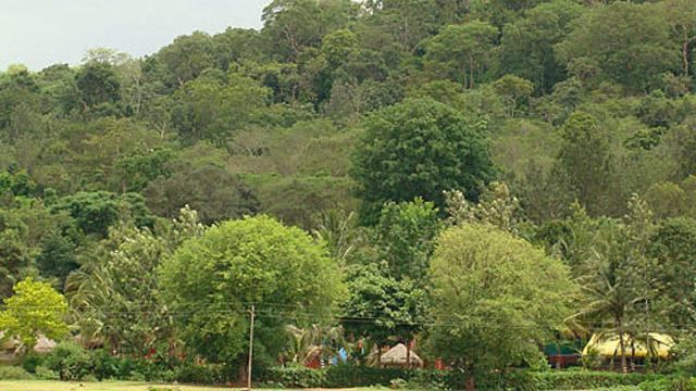 Prakruth Resort photo 42