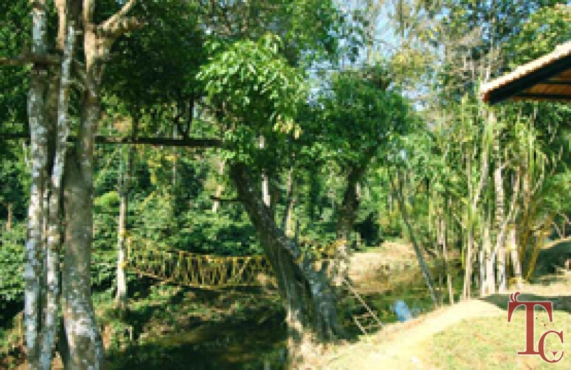 White River Valley Retreat photo 2
