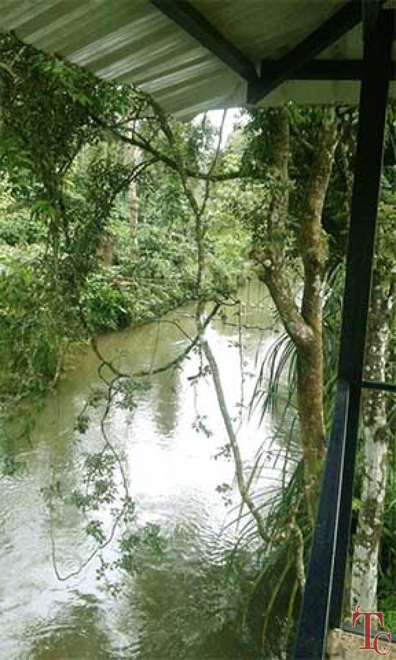 White River Valley Retreat photo 21