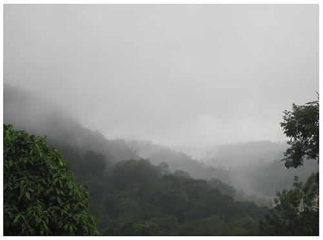 Kalgreen Valley Resort photo 17